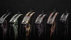 Resize Bowtech beauty