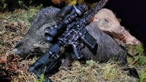 Rifles0201