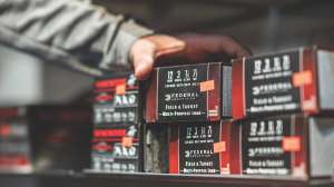 Shotgun shells 1