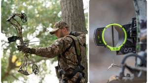 Web collage Oracle2 Treestand 8