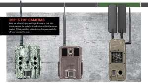 Three trail cams 1 e991f65cda8cad0d03a7ea8cd2674507