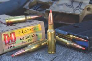 20a6 5 Grendel
