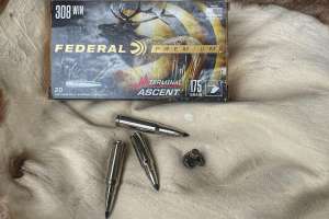 Federal Terminal Ascent e991f65cda8cad0d03a7ea8cd2674507 240402 122503