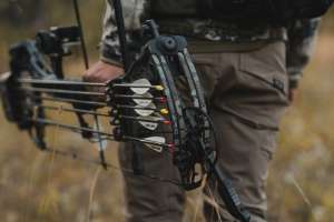 Web QUIVER PIX 02