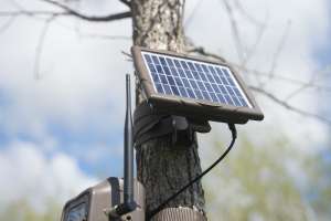 Cuddeback solar panel