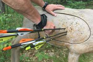 Pulling arrow from 3 D target