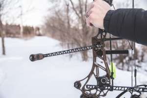 Mathews ARC 34 stabilizer