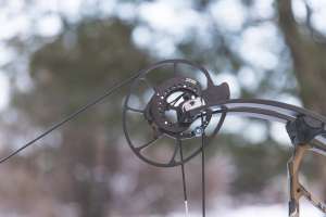 Web Bowtech 1