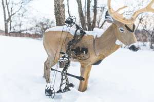 Web Bowtech 6