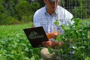 Web checking plant growth