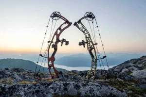 Hoyt bows 2026 lead pic