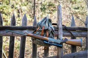 Fence hunting
