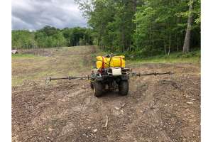 Food Plots