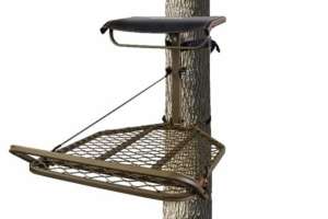 FS Timberline Stand Recall