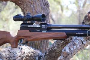 Airgun 1 e991f65cda8cad0d03a7ea8cd2674507 231126 162503