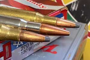 Ballistic profile e991f65cda8cad0d03a7ea8cd2674507 240513 132507