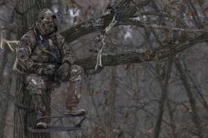 Bob Robb 2014 011 f4159788da6a13a05c7755e7e3b29890
