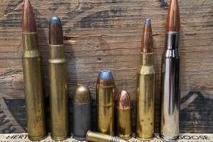 Bullets e991f65cda8cad0d03a7ea8cd2674507