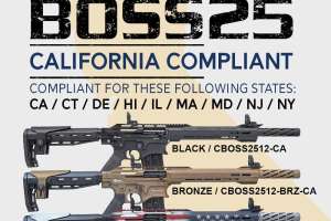 Citadel BOSS25 shotgun e991f65cda8cad0d03a7ea8cd2674507
