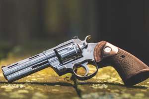 Colt snake series