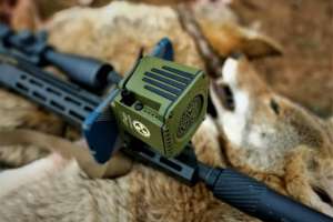 Convergent Sidewinder Game Call mounted to rifle e991f65cda8cad0d03a7ea8cd2674507 200520 102503