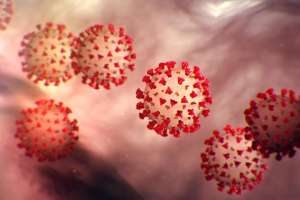 Covid 19 coronavirus illustration by CDC e991f65cda8cad0d03a7ea8cd2674507 200327 092503