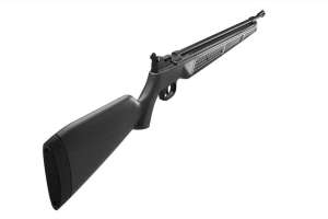 Crosman C362 e991f65cda8cad0d03a7ea8cd2674507