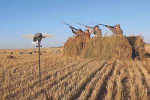 Firing Line e991f65cda8cad0d03a7ea8cd2674507