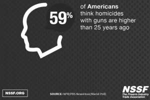 Gun Crime Plummets1