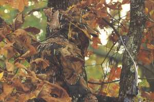 Mossy Oak Fall Foliage 4