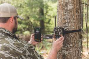 Moultrie 1