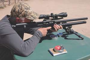 PCP Air Rifles 1