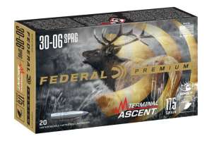 Rendering Terminal Ascent Rifle P3006 ETLR175 e991f65cda8cad0d03a7ea8cd2674507 200817 182501