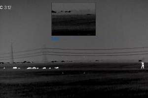 Thermal imaging