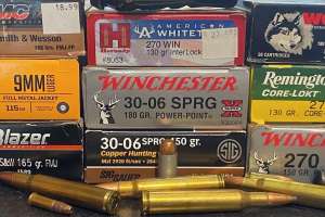 Ammo selection e991f65cda8cad0d03a7ea8cd2674507