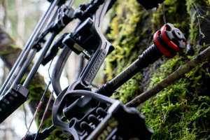 2019 Stabilizers beauty