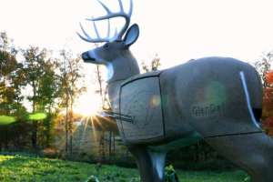 8 Great 3 D Targets beauty 190104 121851