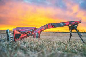 AGILITY SUNRISE HIGH RES