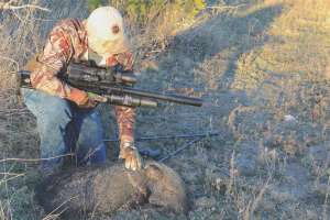 Air Rifles