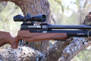 Airgun 1