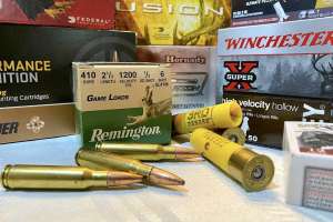 Ammuntion rifle shotgun photo by Clemons