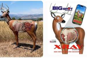 BI Gshot X Ray collage
