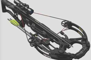 Barnett Predator 1025x759