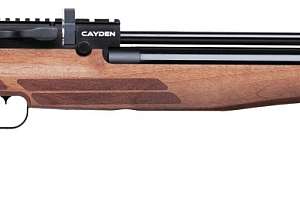 Benjamin Cayden Air Rifle wooden stock