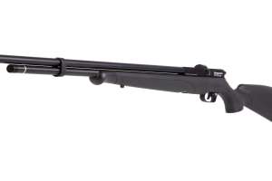 Benjamin Fortitude PCP Air