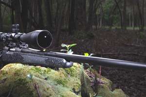 Bergara 1 A