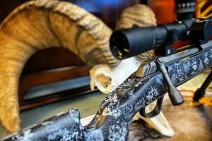 Browning X Bolt