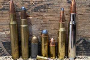 Bullets