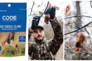 Code Blue Buck Tarsal collage