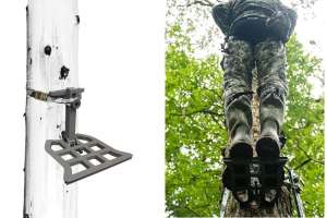 Collage tree platform no stick